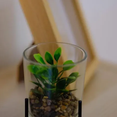 Gare - Chez Guillaume 公寓